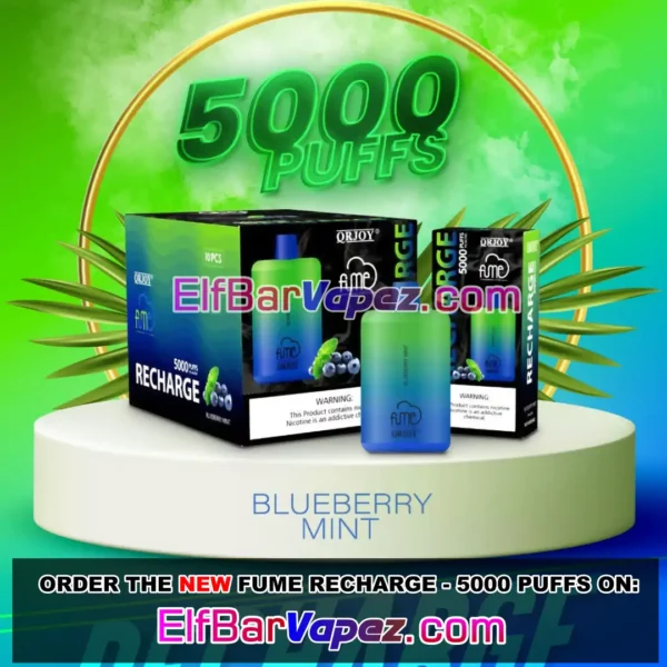 Blueberry Mint Fume Recharge Disposable Vape